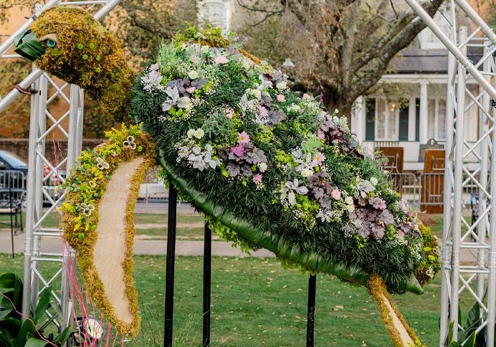 Festival Of Flowers Coming Up