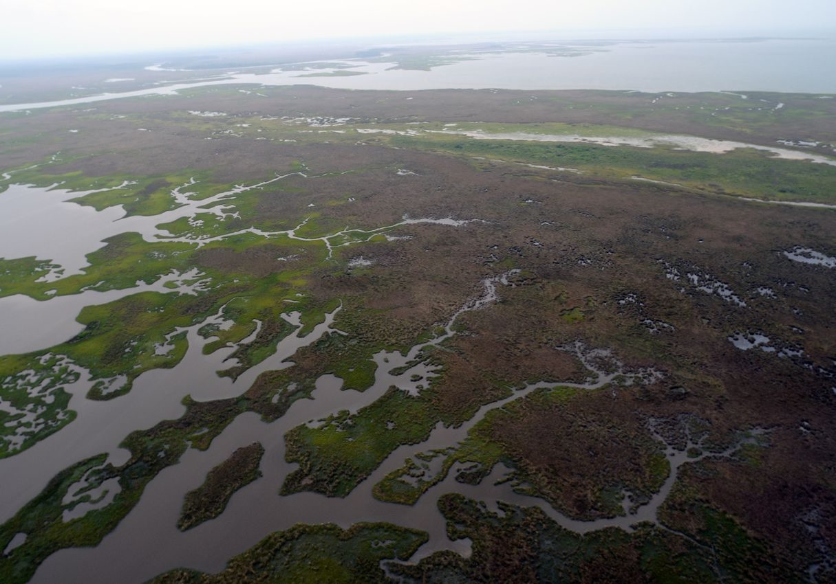 Mobile Bay Wetland to Gain 1,200 Acres