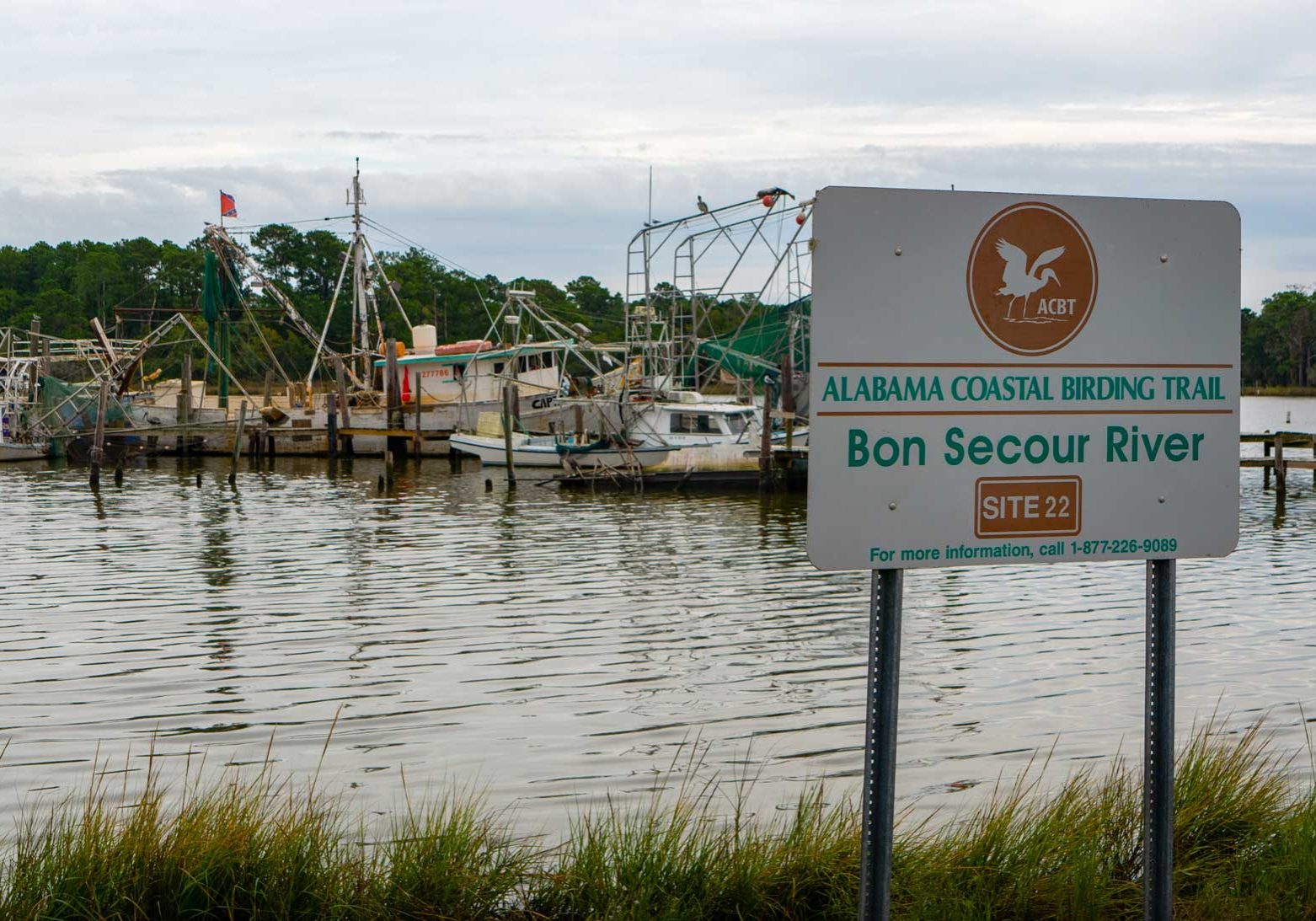 New Bon Secour Boat Launch Detailed