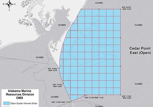 Oyster Harvest On Track To Double From Last Year