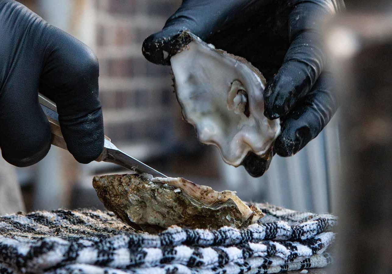 Oyster Harvest Opens October 3