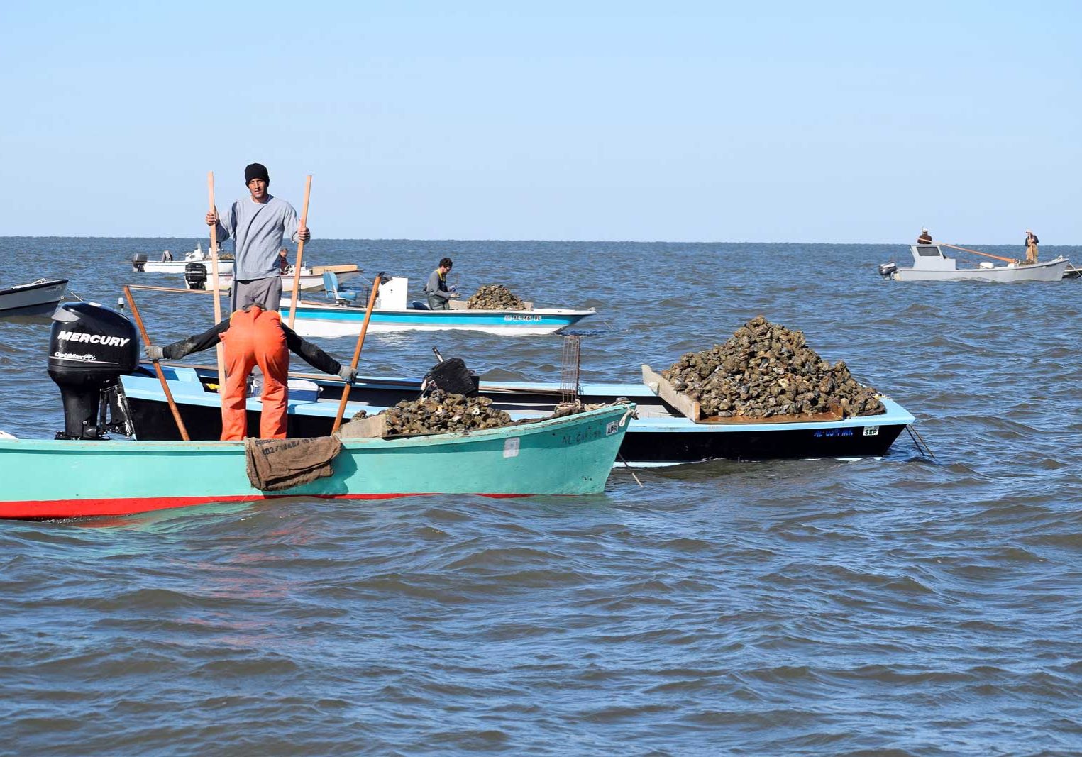 Oyster Management Meeting Set For Bayou La Batre