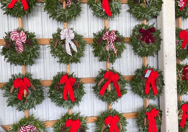 Pops-Midtown-Pumpkin-Patch-And-Christmas-Trees-Opens