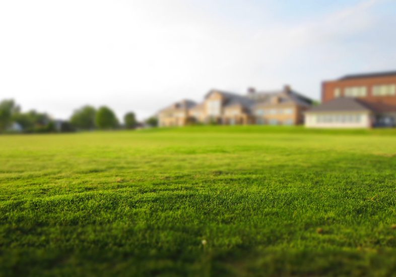 Real Estate Highlights