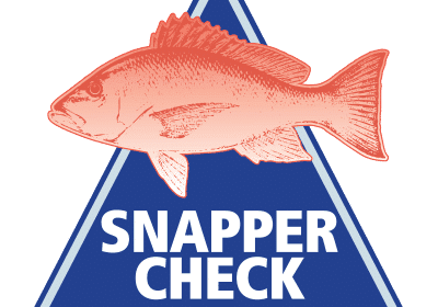 Red Snapper Season Opening Next Month