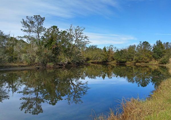 South-Alabama-Land-Trust-SALT-City-Deal-To-Protect-96-Acres