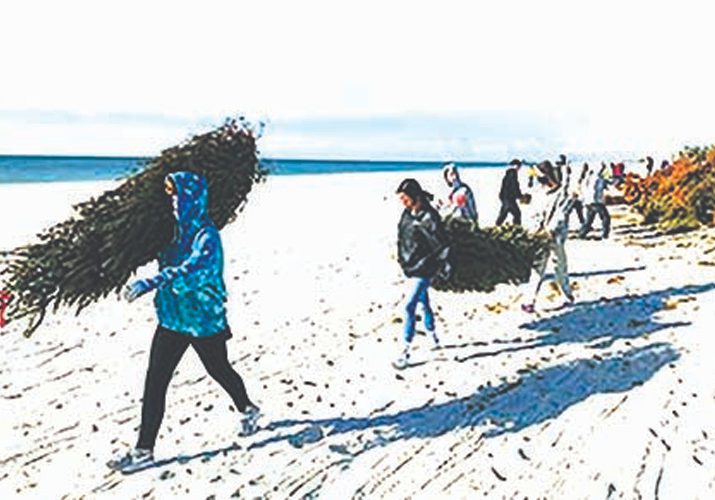 Students Install, Learn About Dune-Building Trees