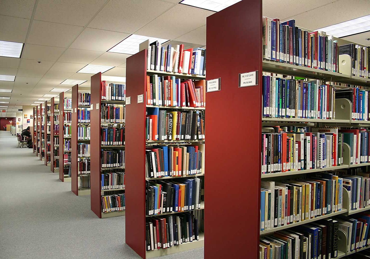 Summer Library Celebrations Set For Tomorrow