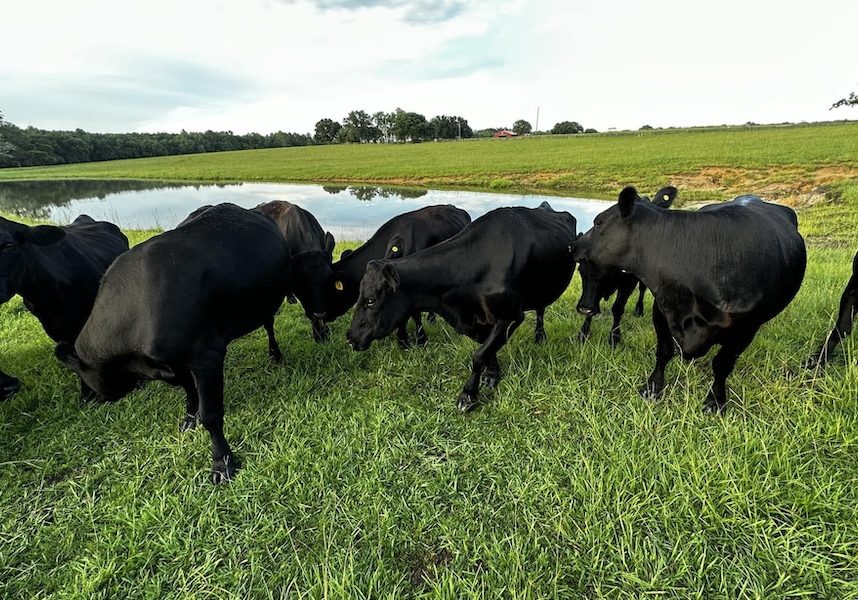 TASTE OF THE FARM COMING UP IN GRAND BAY