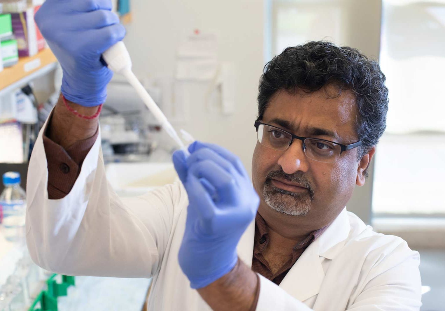 USA Researchers Awarded $1.15-Million Grant