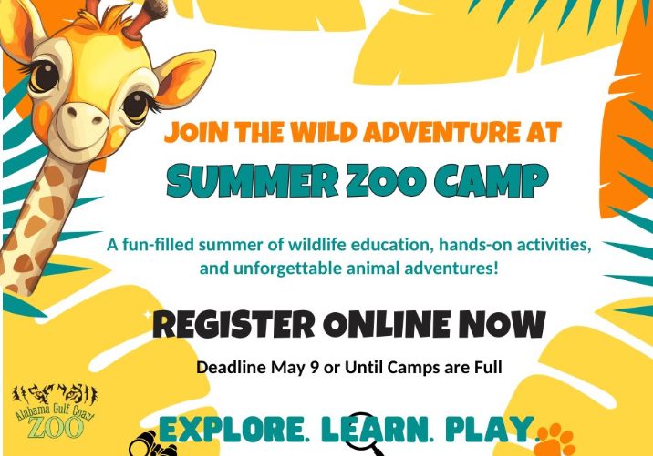 ZOO CAMP DETAILS ANNOUNCED