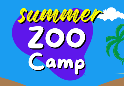 ZOO SUMMER CAMP REGISTRATION ENDS TODAY