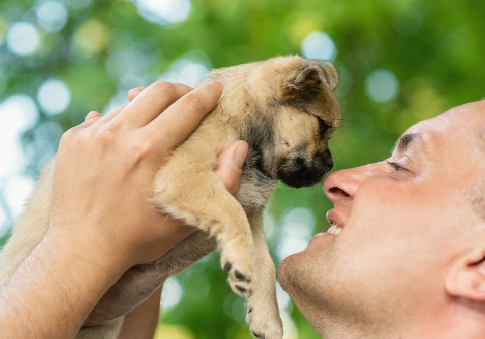 Fido Launches Puppy-Finding App Barkd