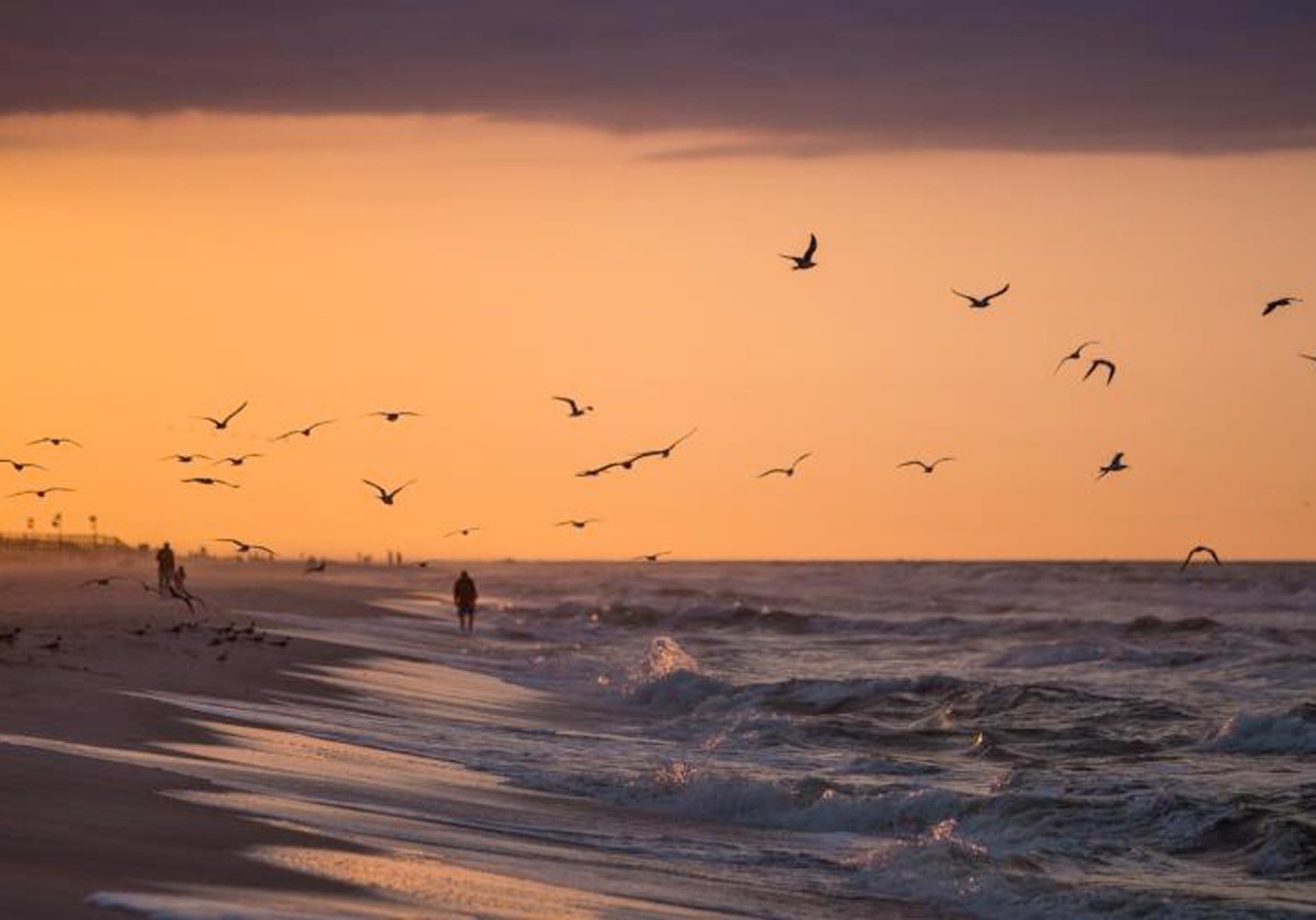 Coastal Water Quality Projects Announced