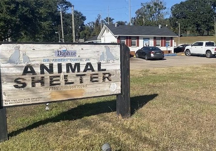 Details On Daphne&rsquo;s Multimillion-Dollar Animal Shelter