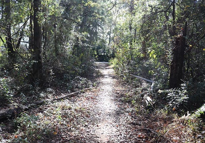 Fairhope Investigating Dyas Triangle&rsquo;s Future