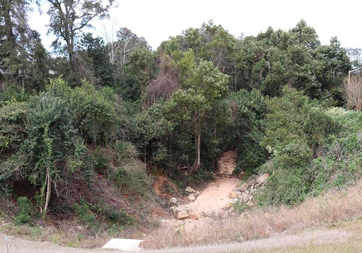 Fairhope Set To Begin Gully Stabilization