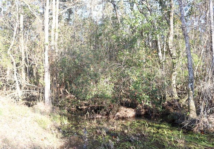 Foley Buys 82 Acres
