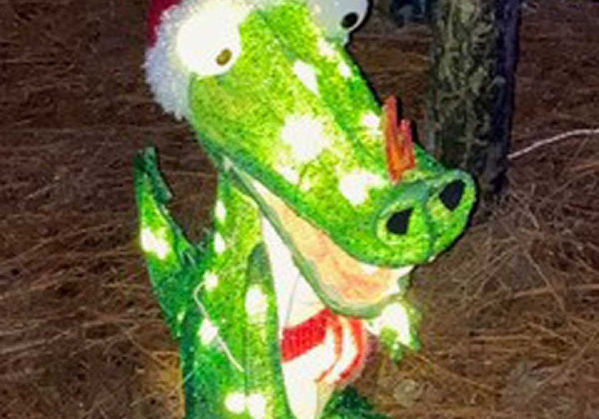 Graham Creek Nature Preserve Christmas Trail Opens Today