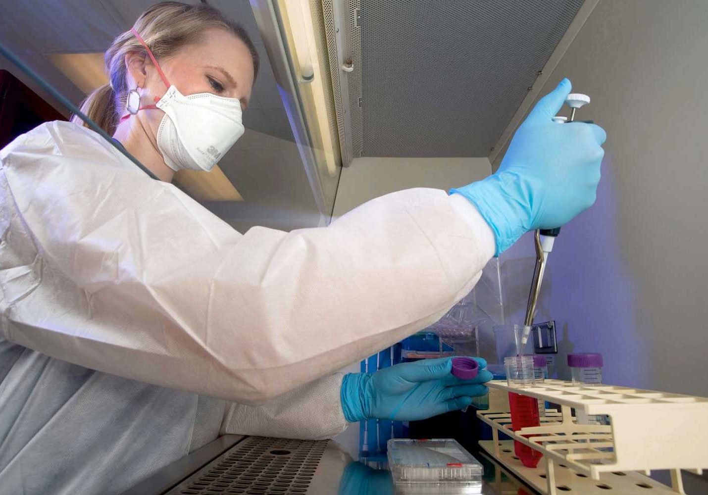 Grant To Study Tick-Borne Infections At USA