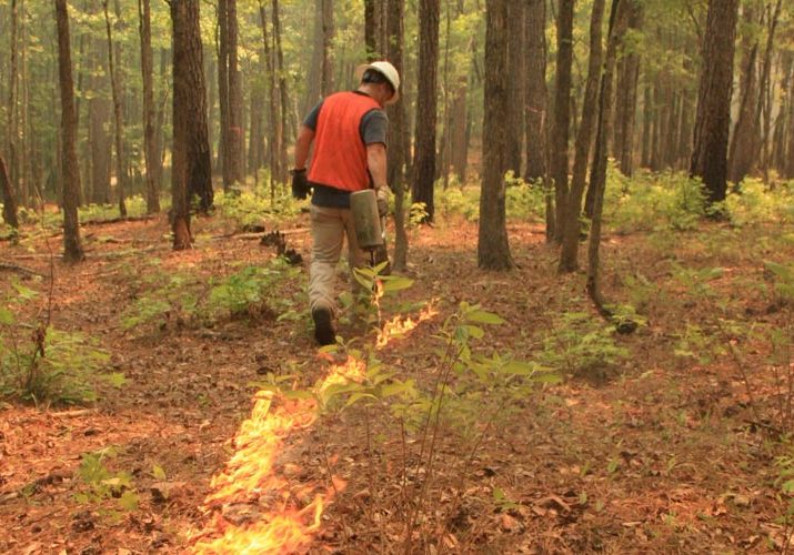 &ldquo;Learn To Burn&rdquo; Scheduled For May