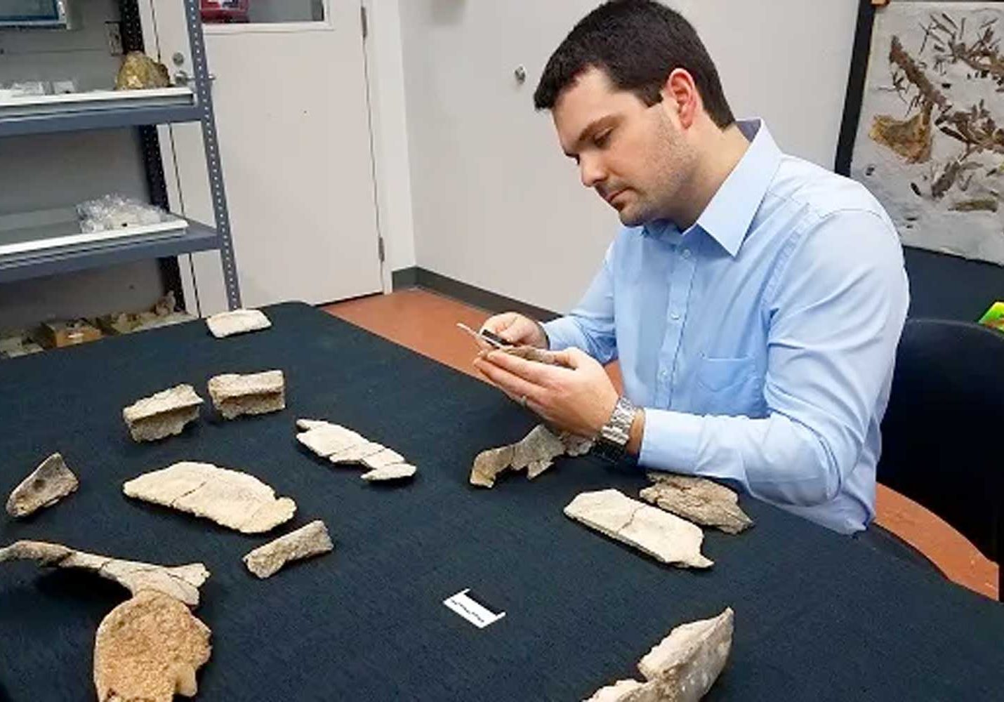 Local Scientist Helps Discover New Species