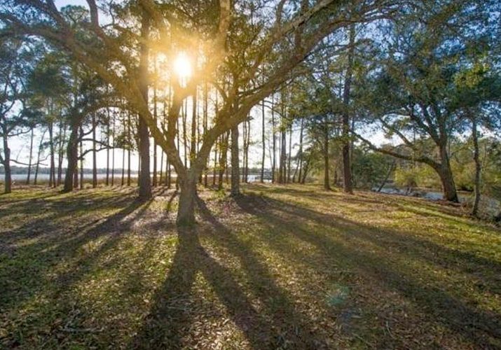 Mud Bottom Revival Music Festival Announced