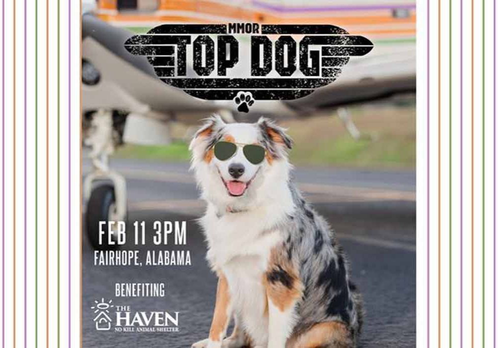 Mystic Mutts Of Revelry To Benefit The Haven