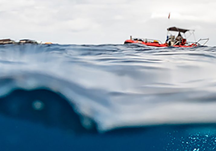 Ocean Acidification Education Grant Opens