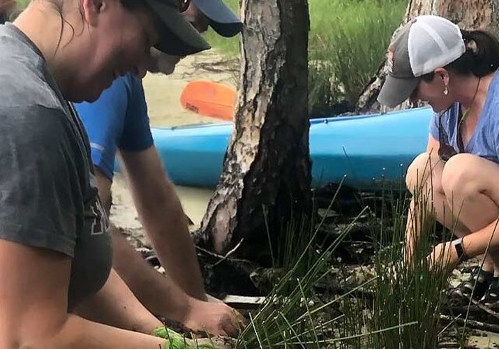 Salt Announces Volunteering Opportunities