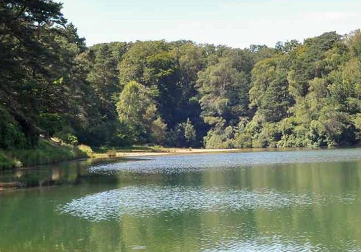 SALT Awarded Grant For Fish River Preserve