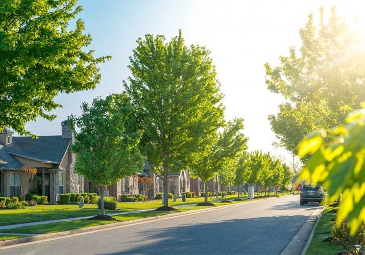 Tree Assessment Workshop Coming Up