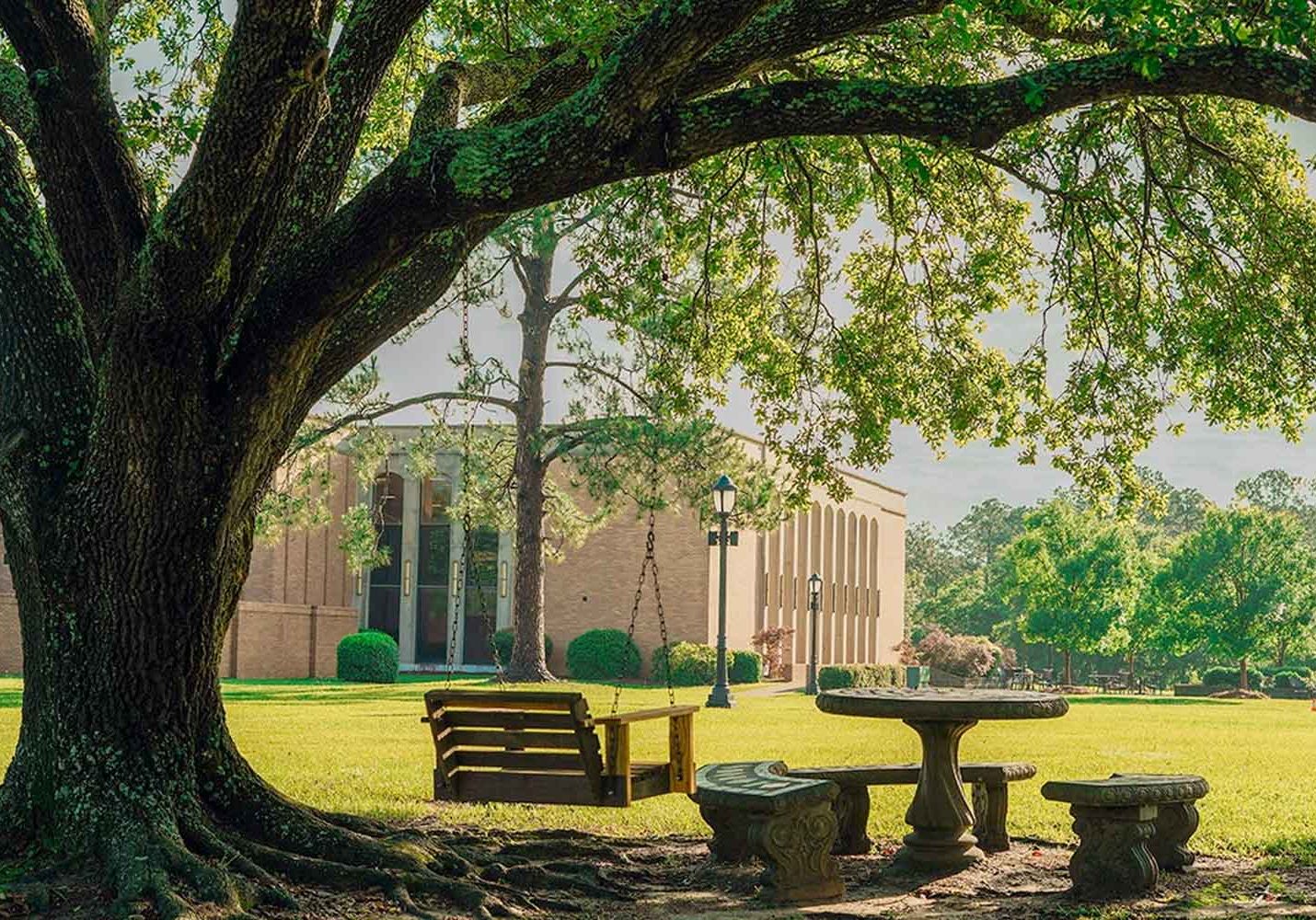 UM Hires Assistant Professor