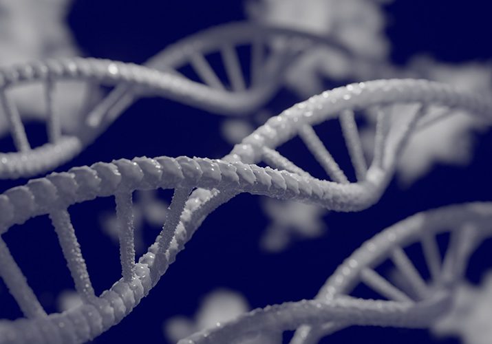 USA Scientists Publish &ldquo;Breakthrough Research&rdquo;