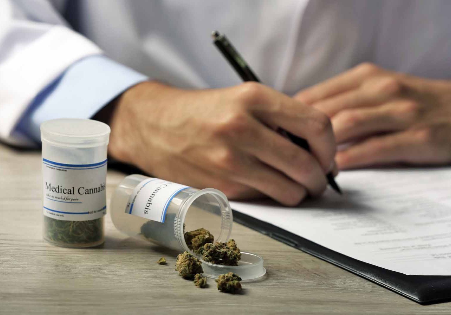 USA Seeks Evaluator For Cannabis License Applications