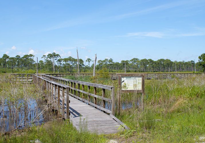 Weeks Bay Restoration Supplement Approved